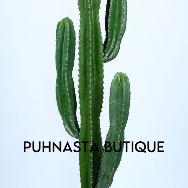Штучна рослина Engard Cactus 155 cм (TW-40) TW-40 фото