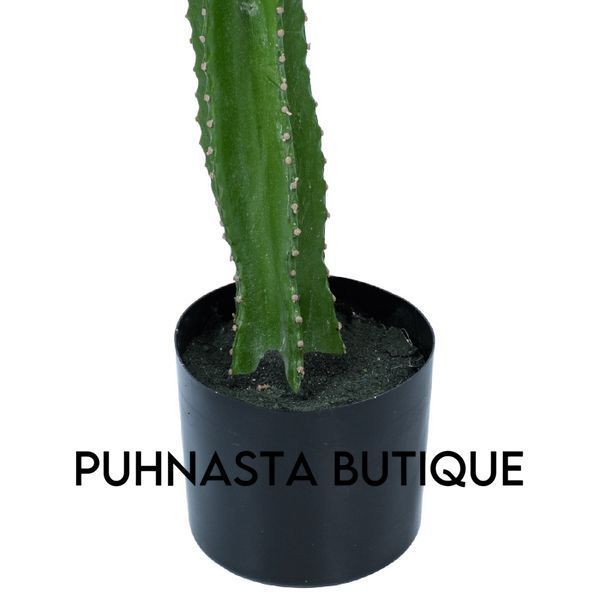 Штучна рослина Engard Cactus 155 cм (TW-40) TW-40 фото