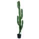Штучна рослина Engard Cactus 155 cм (TW-40) TW-40 фото 3