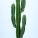 Штучна рослина Engard Cactus 155 cм (TW-40) TW-40 фото 2