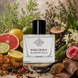 Парфумована вода для чоловіків Eclipse Raja Dovv Elyzeum Colo (версія: Roja Parfums Elysium), 50 мл 56985 фото 1