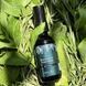 Сыворотка для роста волос Bogenia Rosemary Peppermint, 60 мл 54458 фото 1