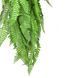 Искусственная ветка Engard Persian fern зеленая 65cм (AV-01) AV-01 фото 3