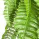 Искусственная ветка Engard Persian fern зеленая 65cм (AV-01) AV-01 фото 4