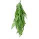 Искусственная ветка Engard Persian fern зеленая 65cм (AV-01) AV-01 фото 1