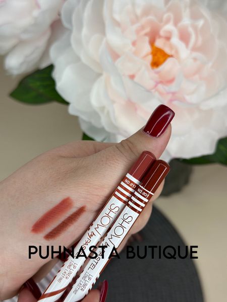 Олівець для губ Pastel Show By Pastel Long Lasting Lip Liner Pencil - відтінок №200 4100 фото