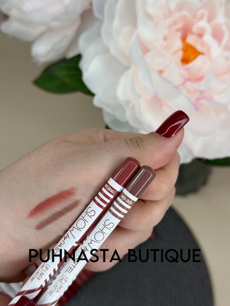 Олівець для губ Pastel Show By Pastel Long Lasting Lip Liner Pencil - відтінок №200 4100 фото