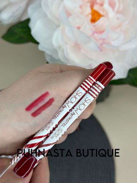 Олівець для губ Pastel Show By Pastel Long Lasting Lip Liner Pencil - відтінок №200 4100 фото