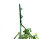 Штучна гілка Engard Schefflera зелена 65 cм (AV-02) AV-02 фото 5