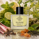 Парфумована вода для жінок Eclipse Elisse Green Ti (версія: Elizabeth Arden Green Tea), 50 мл 56942 фото 1