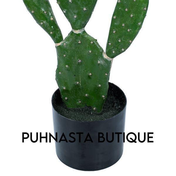 Искусственное растение Engard Cactus 75 cм (TW-41) TW-41 фото