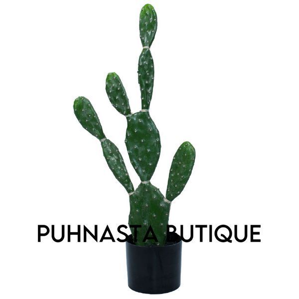 Искусственное растение Engard Cactus 75 cм (TW-41) TW-41 фото