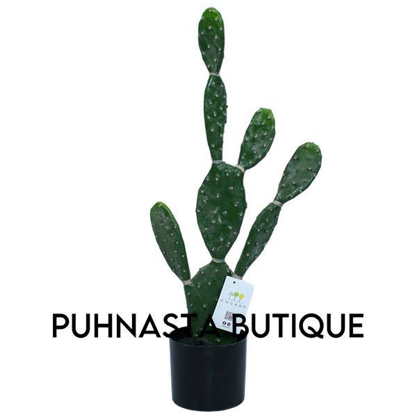 Искусственное растение Engard Cactus 75 cм (TW-41) TW-41 фото