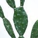 Искусственное растение Engard Cactus 75 cм (TW-41) TW-41 фото 2