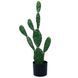 Искусственное растение Engard Cactus 75 cм (TW-41) TW-41 фото 6