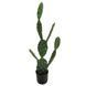 Искусственное растение Engard Cactus 75 cм (TW-41) TW-41 фото 1