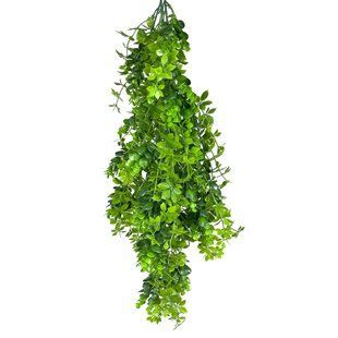 Штучна гілка Engard Eucalyptus зелена 65 см (AV-03) AV-03 фото