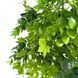 Искусственная ветка Engard Eucalyptus зеленая 65 cм (AV-03) AV-03 фото 3