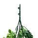 Искусственная ветка Engard Eucalyptus зеленая 65 cм (AV-03) AV-03 фото 5