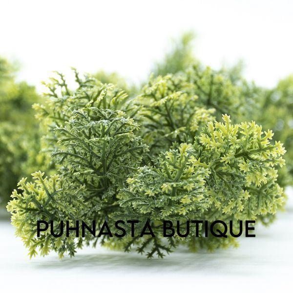 Штучна гілка Engard Houttuynia Cordata зелена 65 cм (AV-04) AV-04 фото