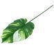 Искусственный лист Engard Monstera Alba зеленый 71 см (TW-53) TW-53 фото 5