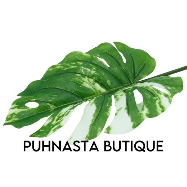 Штучне листя Engard Monstera Alba зелене 73 см (TW-54) TW-54 фото