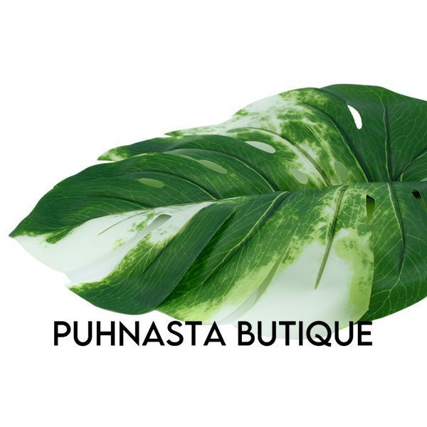 Штучне листя Engard Monstera Alba зелене 78 см (TW-55) TW-55 фото