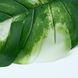 Штучне листя Engard Monstera Alba зелене 78 см (TW-55) TW-55 фото 4