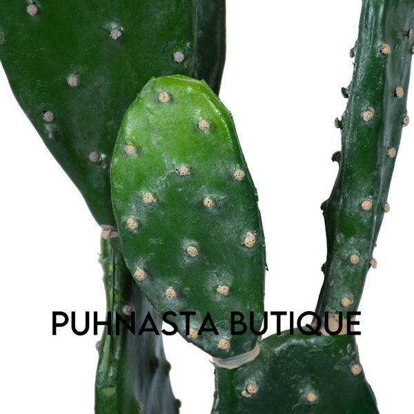 Искусственное растение Engard Cactus 95 cм (TW-42) TW-42 фото