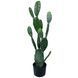 Искусственное растение Engard Cactus 95 cм (TW-42) TW-42 фото 6