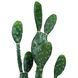 Искусственное растение Engard Cactus 95 cм (TW-42) TW-42 фото 2