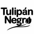 Tulipan Negro