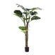 Штучна рослина Engard Monstera 180 см (TW-05) TW-05 фото 1