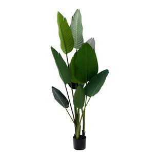 Штучна рослина Engard Banana Tree 155 см (TW-09) TW-09 фото