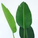 Искусственное растение Engard Banana Tree 155 см (TW-09) TW-09 фото 3
