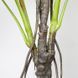 Искусственное растение Engard Monstera 165 см (DW-22) DW-22 фото 4