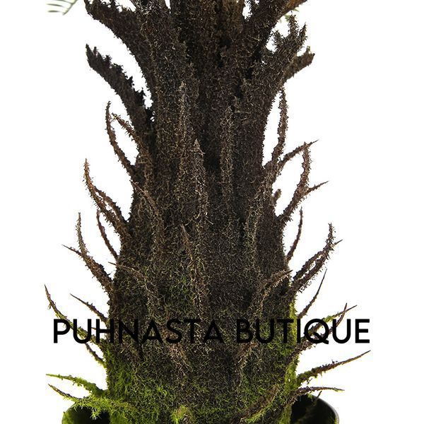 Штучна рослина Engard Cycas Palm 60 см (DW-25) DW-25 фото