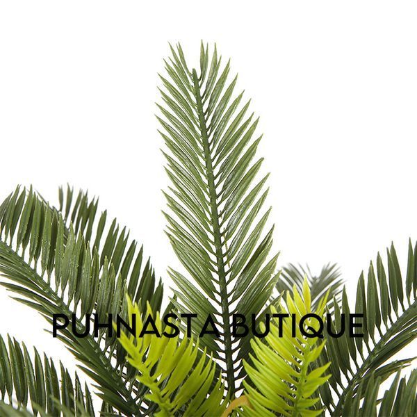 Штучна рослина Engard Cycas Palm 60 см (DW-25) DW-25 фото