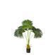 Искусственное растение Engard Fan Palm 95 см (DW-26) DW-26 фото 1