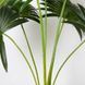 Искусственное растение Engard Fan Palm 95 см (DW-26) DW-26 фото 3
