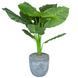 Искуcственное растение Engard Taro 120 см в кашпо (DW-0708-3) DW-0708-3 фото 1