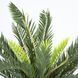 Штучна рослина Engard Fan Palm 60 см в кашпо (DW-2567-1) DW-2567-1 фото 4