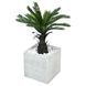 Штучна рослина Engard Fan Palm 60 см в кашпо (DW-2567-1) DW-2567-1 фото 1