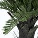 Штучна рослина Engard Fan Palm 60 см в кашпо (DW-2567-1) DW-2567-1 фото 5
