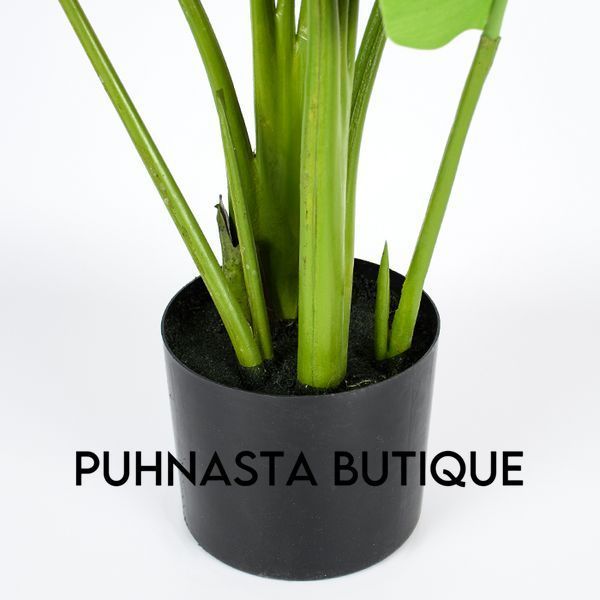 Искусственное растение Engard Banana Tree 120 см (TW-24) TW-24 фото