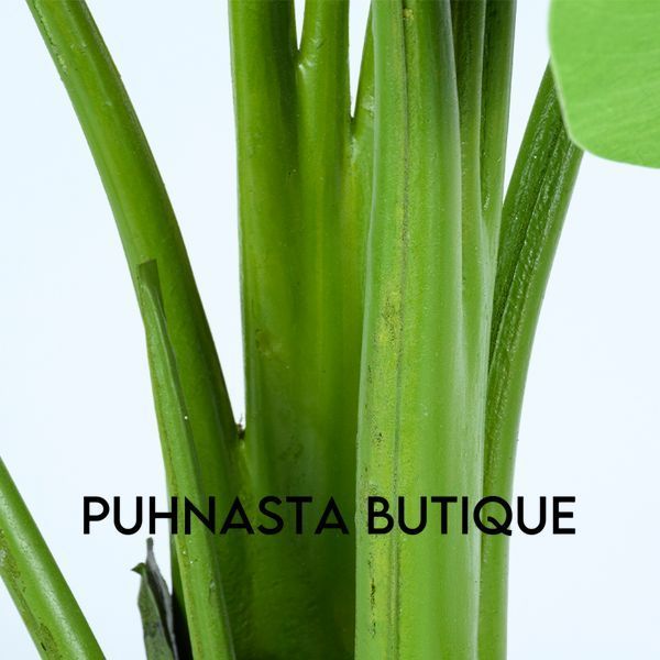 Искусственное растение Engard Banana Tree 120 см (TW-24) TW-24 фото