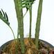 Штучна рослина Engard Palm Tree 182 см (TW-29) TW-29 фото 2