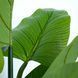 Искусственное растение Engard Philodendron 90 см (TW-38) TW-38 фото 5