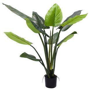 Штучна рослина Engard Philodendron 120 cм (TW-39) TW-39 фото