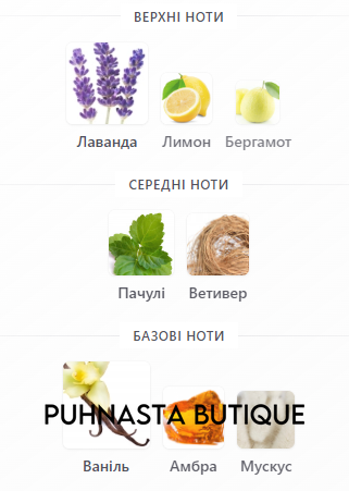 Парфюмированная вода для мужчин Dina Cosmetics Dagger, 100 мл 56979 фото